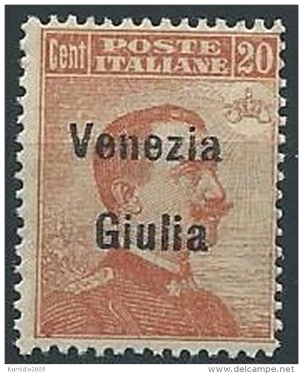 1918-19 VENEZIA GIULIA EFFIGIE 20 CENT MNH ** - ED522-2 - Vénétie Julienne