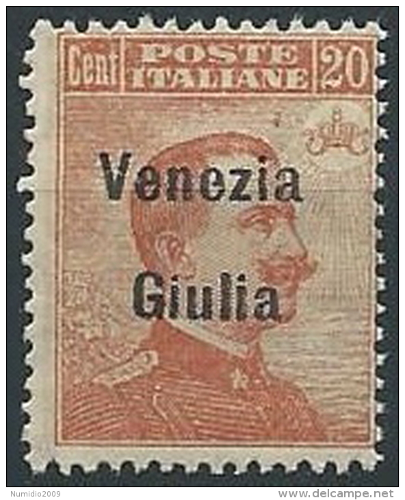 1918-19 VENEZIA GIULIA EFFIGIE 20 CENT MNH ** - ED522-3 - Venezia Giulia