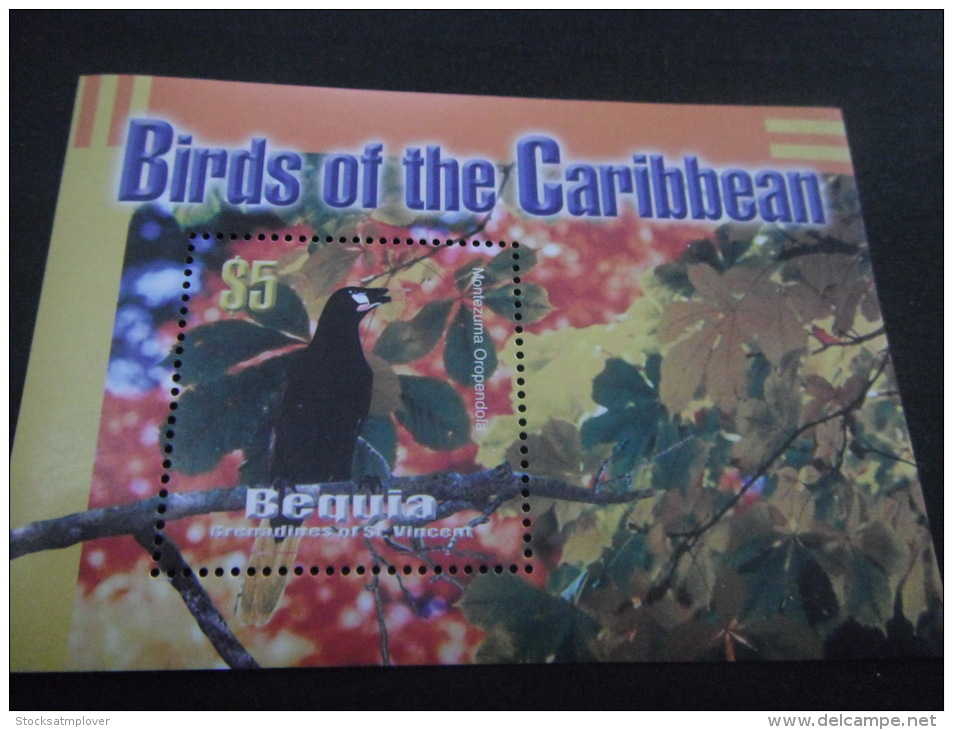 Mustique Grenadines Of St.Vincent -Birds - Climbing Birds