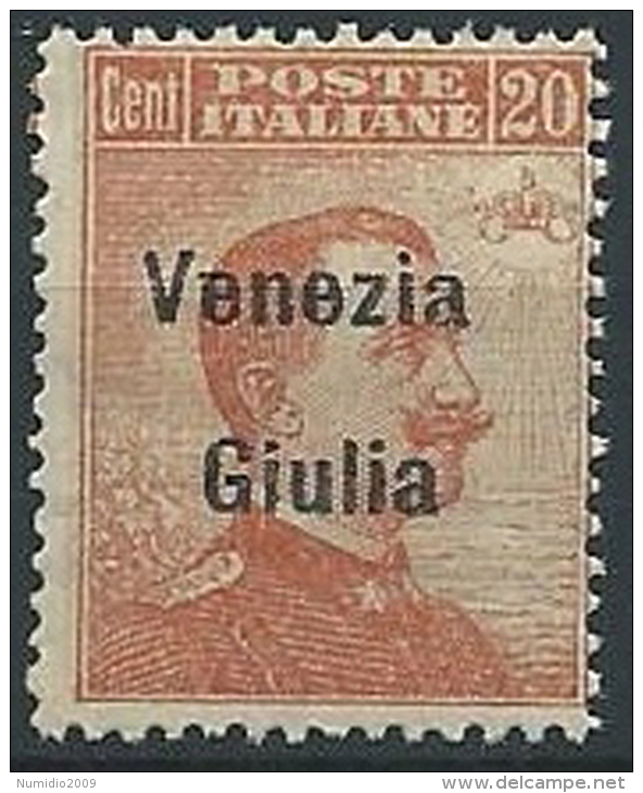 1918-19 VENEZIA GIULIA EFFIGIE 20 CENT MNH ** - ED522-4 - Vénétie Julienne