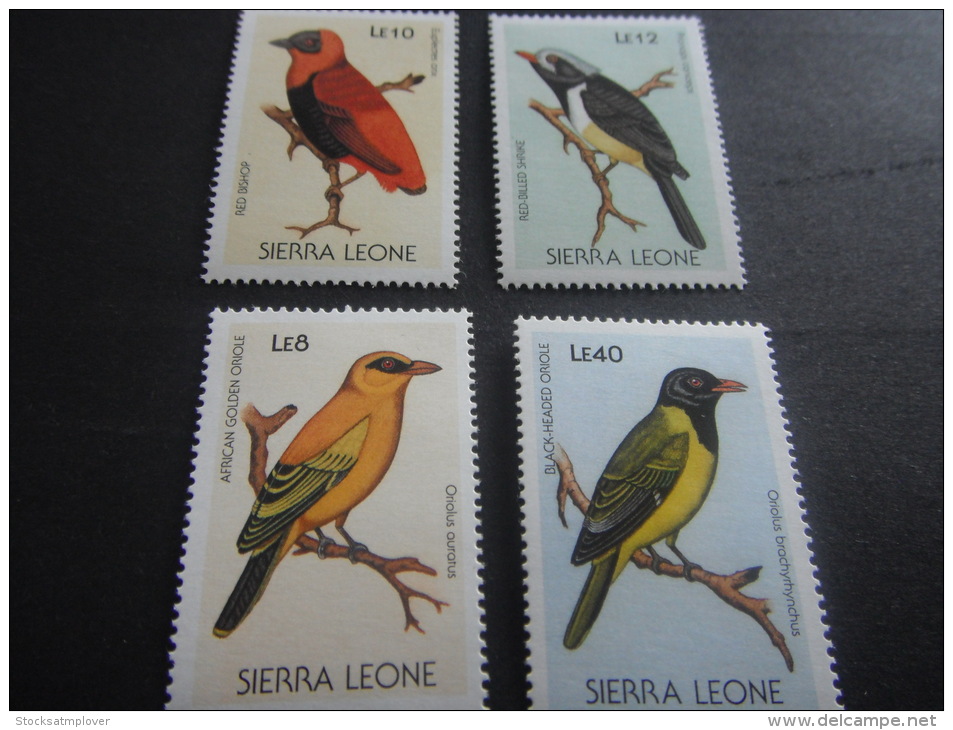 Sierra Leone -Birds - Spechten En Klimvogels