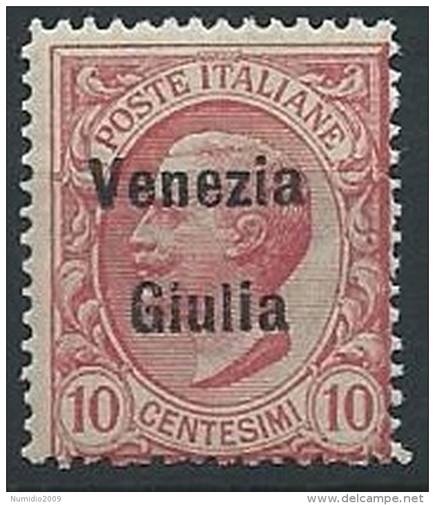 1918-19 VENEZIA GIULIA EFFIGIE 10 CENT MNH ** - ED523-6 - Vénétie Julienne