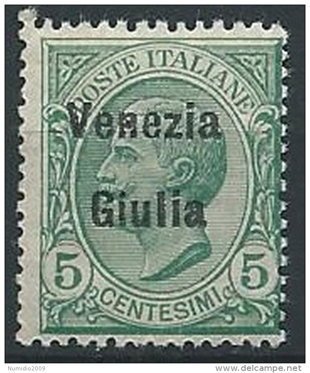 1918-19 VENEZIA GIULIA EFFIGIE 5 CENT MNH ** - ED523 - Vénétie Julienne