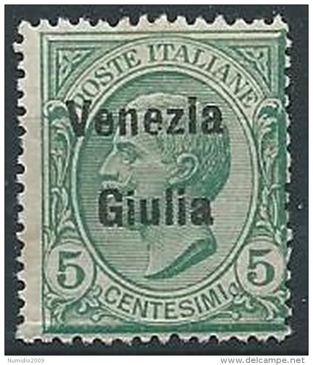 1918-19 VENEZIA GIULIA EFFIGIE 5 CENT MNH ** - ED524-2 - Vénétie Julienne