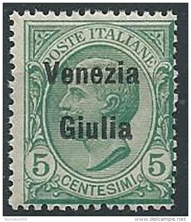 1918-19 VENEZIA GIULIA EFFIGIE 5 CENT MNH ** - ED524-3 - Vénétie Julienne