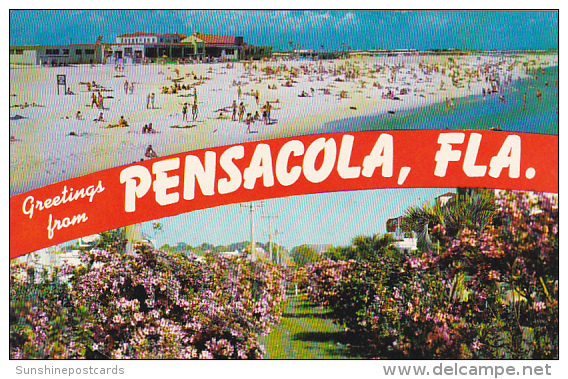 Florida Greetings From Pensacola - Pensacola