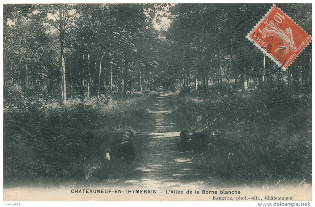 CHATEAUNEUF EN THYMERAIS - L'Allée De La Borne Blanche - Châteauneuf