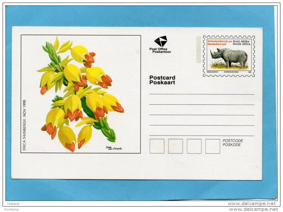 MARCOPHILIE-carte  -entier Postal-l Illustrée- Fleurs--south AFRIKA-+rhinocéros - Lettres & Documents