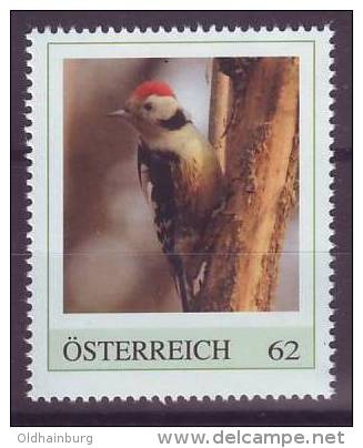 055: Tiere Im Wald, Mittelspecht (Dendrocopos Medius)- Personalisierte Marke ** Aus Österreich - Spechten En Klimvogels