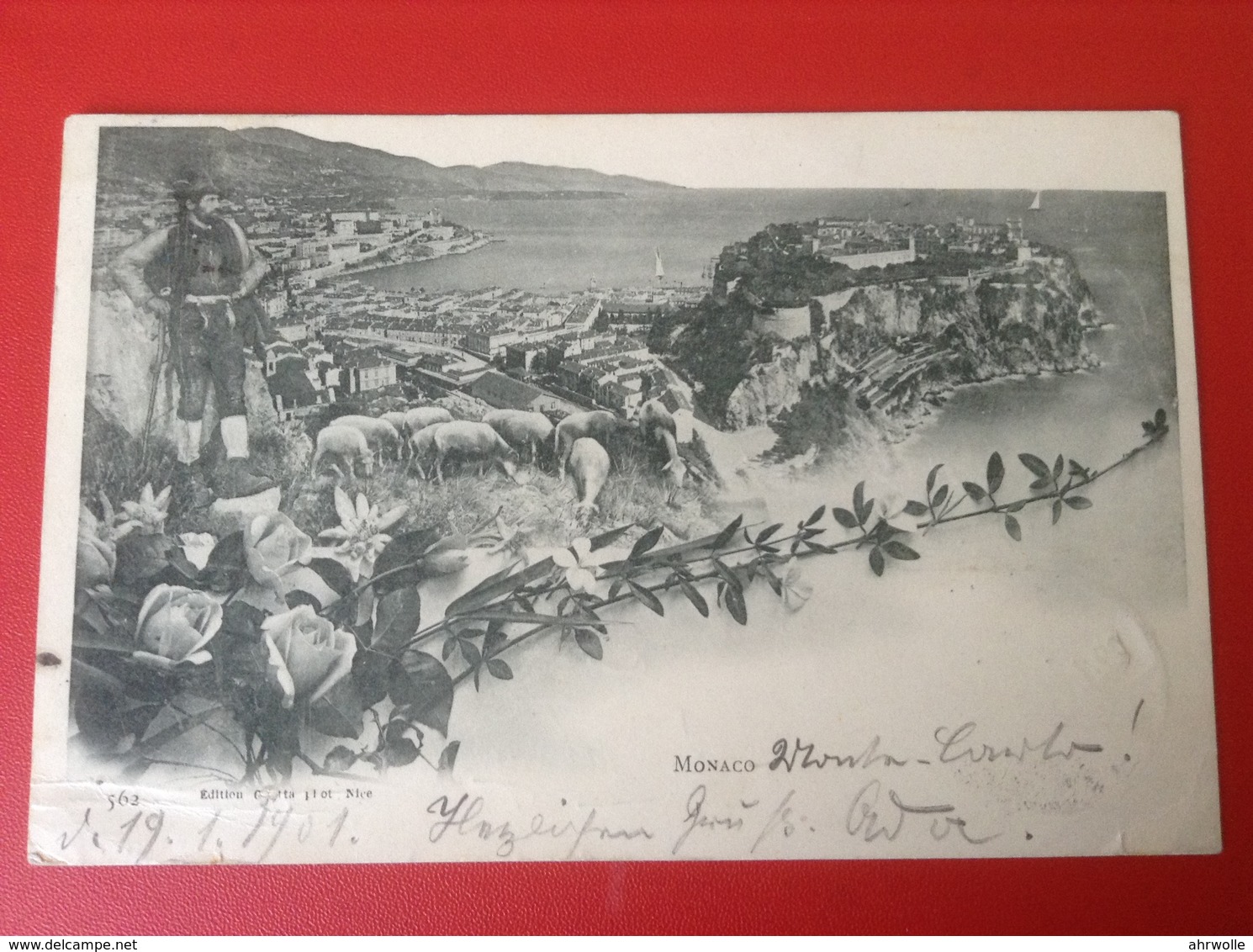 AK Monaco 1901 Gesamtansicht Mit Schäfer Und Schafen - Terraces