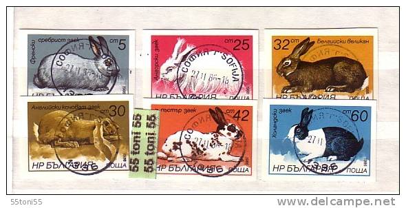 1986 RABBITS 6 V.  Imperf.- Used (O)  BULGARIA  / Bulgarie - Rabbits