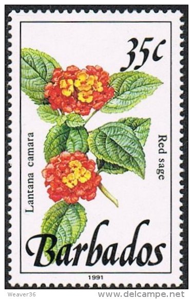 Barbados SG895a 1992 Definitive 35c Unmounted Mint - Barbados (1966-...)