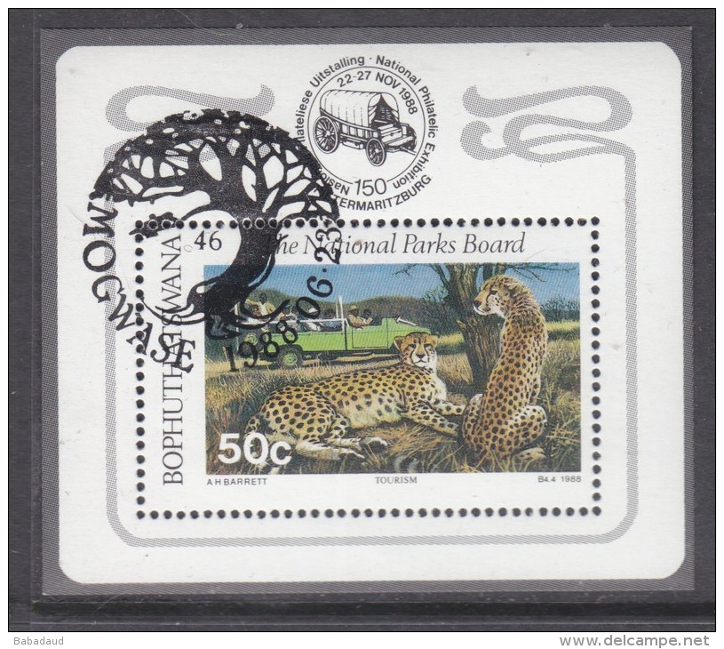 Bophuthatswana: 1988 Tourism Miniature Sheet Used C.t.o. MOGWASE - Bophuthatswana