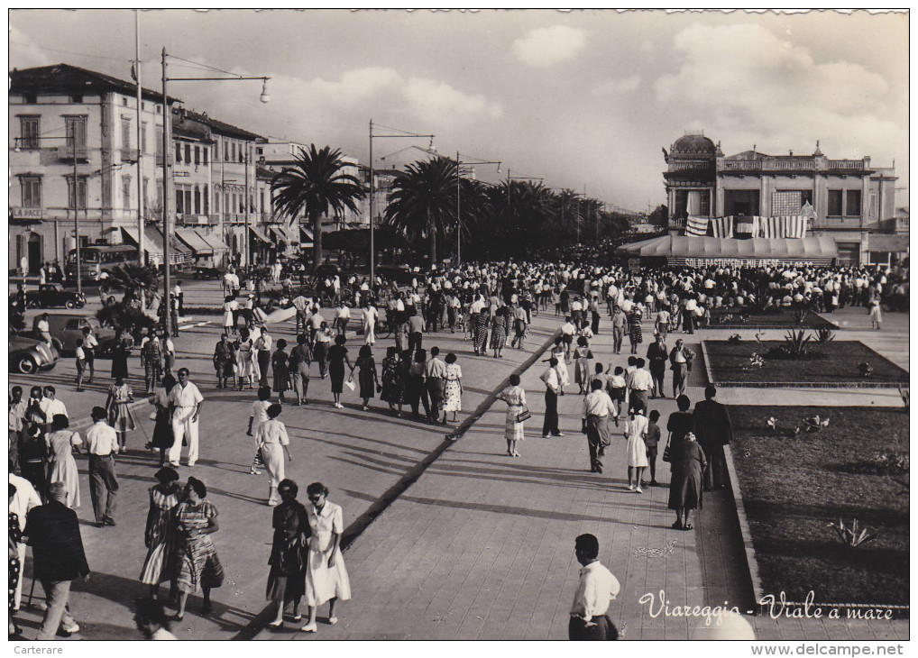 Carte Postale Italienne,italie,italia,TOSCANE,TOSCANA,LUCCA,LUCQUES,VIAREGGIO,viale A Mare,la Pace,rare - Lucca