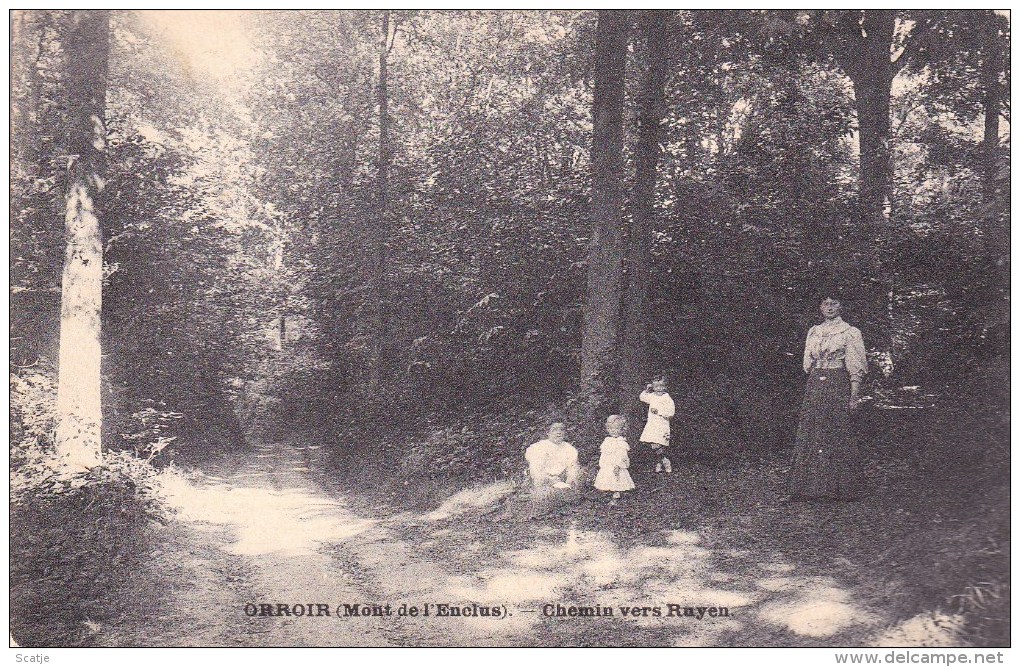 Orroir  (mont De L'Enclus)  -  Chemin Vers Ruyen.  -   1908 - Mont-de-l'Enclus