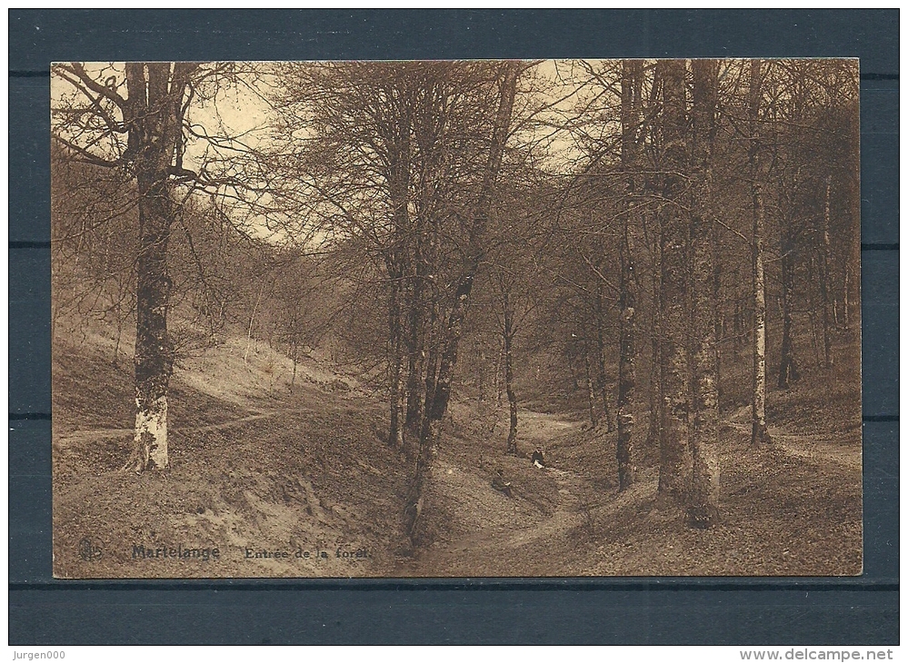 MARTELANGE: Entrée De La Foret, Gelopen Postkaart 1927 (GA13230) - Martelange