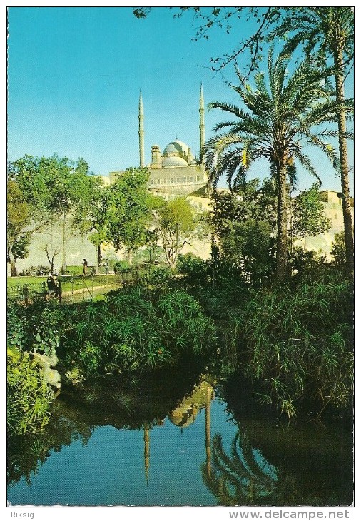 Cairo  Citadel    Egypt   # 03353 - Alexandrie