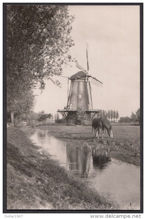 Krommerdijk ( Koeiendijk )   Omstreek 1920  Echte Foto. Ongebruikt. Gemeente Dordrecht. - Dordrecht