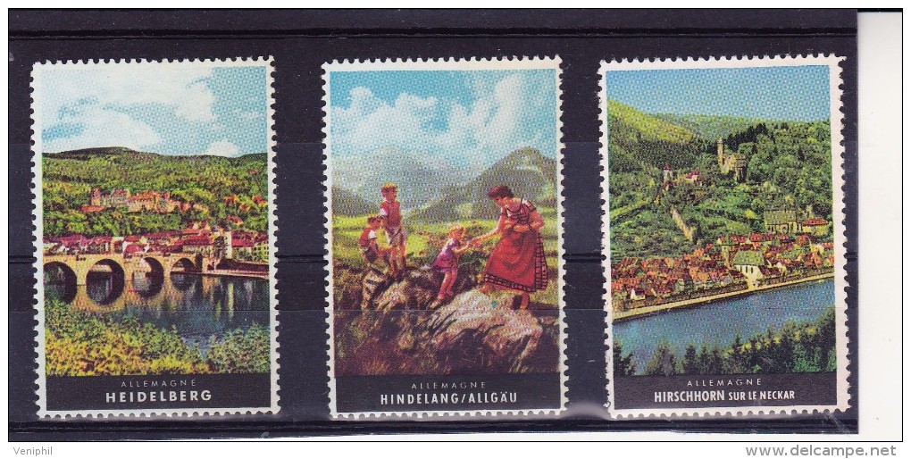 LOT DE 3 VIGNETTES COULEURS  ALLEMAGNE -TTB- HEIDELBERG-HINDELANG-HIRSCHHORN - Erinnofilie