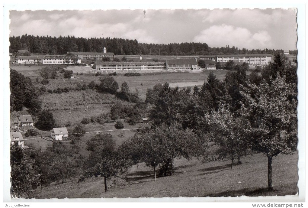 Schwarzwald / Jegendorf ALtensteig Lit Christophorus-Schule, 1953, Gerhard Lauck Nr. A 329 704 Bo - Altensteig