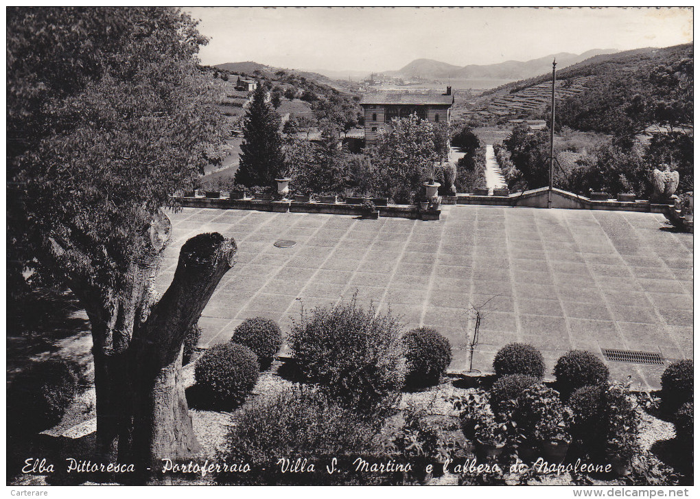 Toscana,elbe,elba,PORTOFE RRAIO,vi Lla  S Martino E L´albero Di Napoleone,avec Tampon Rare,ed Tognoli,magit - Livorno