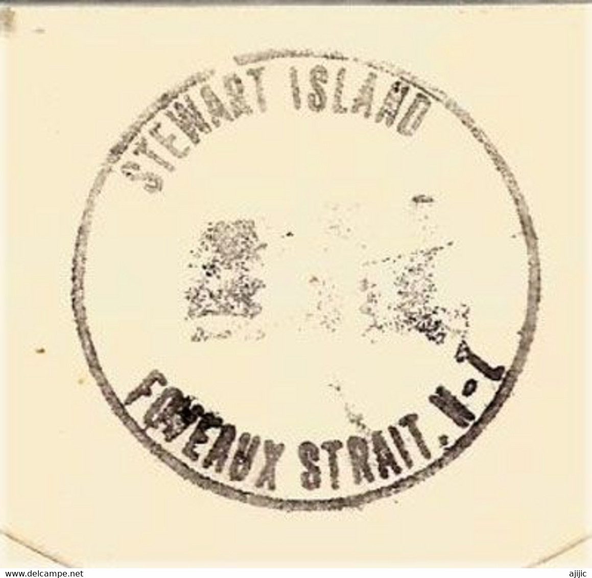 Lettre De L'île Campbell (île Sub-antarctique De La Nouvelle-Zélande) Adressée à Auckland, Transit Par Stewart Island - Andere-Oceanië