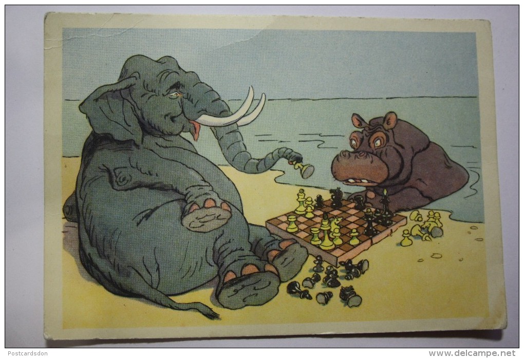 JEU - ECHECS - ELEPHANT PLAYING CHESS WITH HIPPO. OLD SOVIET POSTCARD. 1956 - Schach