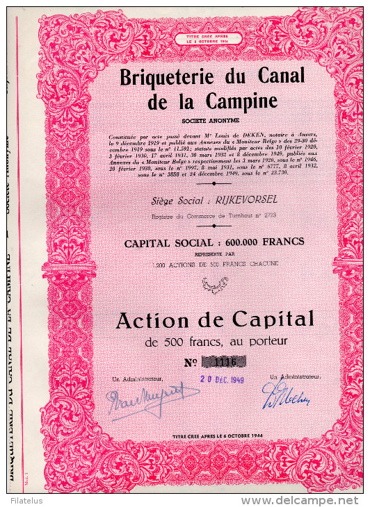 BRIQUETERIE DU CANAL DE LA CAMPINE-SOCIETE' ANONYME-ACTION DE CAPITAL DE 500 FRANCS-20-12-1949-RIJKEVO RSEL-BELGIQUE - A - C