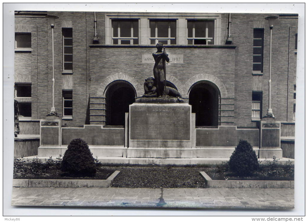 Belgique--LEUZE-EN-HAINAU T--Monument Aux Morts , Cpsm 15 X 10 N° 7 éd Delhaye---pas Très Courante - Leuze-en-Hainaut