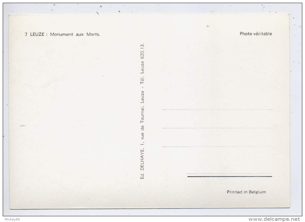 Belgique--LEUZE-EN-HAINAU T--Monument Aux Morts , Cpsm 15 X 10 N° 7 éd Delhaye---pas Très Courante - Leuze-en-Hainaut