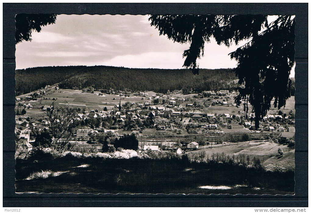 (568) AK Baiersbronn Im Schwarzwald - Baiersbronn