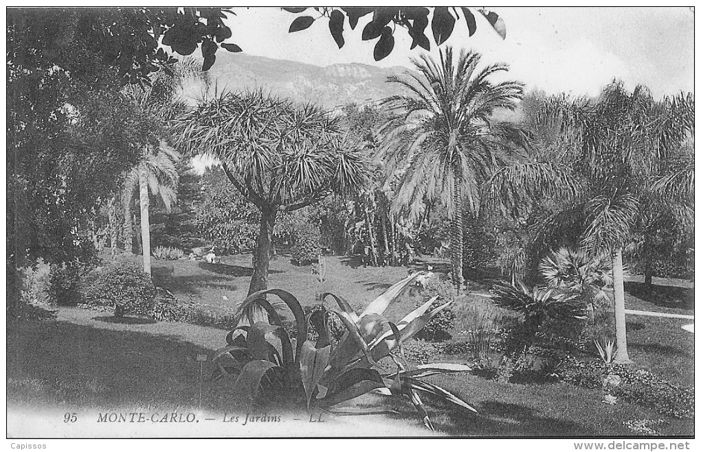 Monte Carlo Les Jardins Etat Parfait - Jardin Exotique
