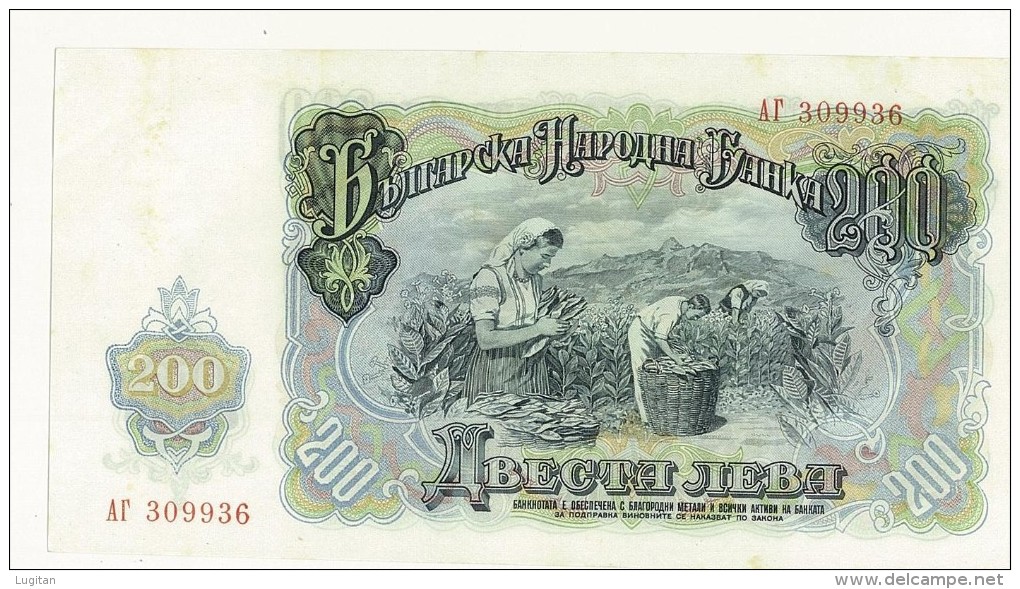 1951 BULGARIAN BANK NOTE 200 ABECTA JIEBA - #309936 - LEGGERE MACCHIE DI OSSIDAZIONE - Bulgarije