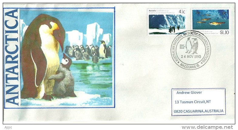 Expédition Australienne Antarctique à L'île Macquarie En 1990, Lettre Adressée En Australie - Covers & Documents