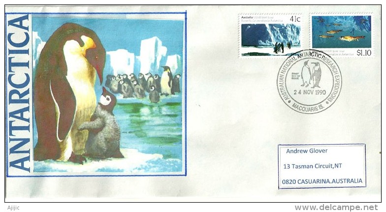 Expédition Australienne Antarctique à L'île Macquarie En 1990, Lettre Adressée En Australie - Briefe U. Dokumente