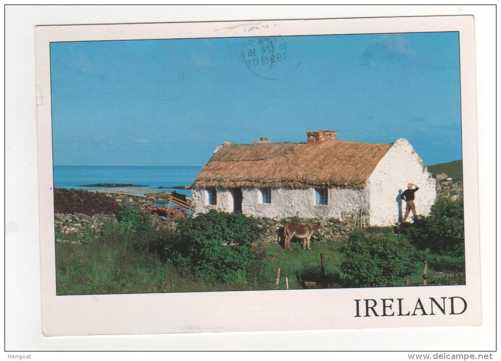 Timbre De 1996  " Chevaux , Fairy House  " / Carte , Postcard  Pour La France - Brieven En Documenten