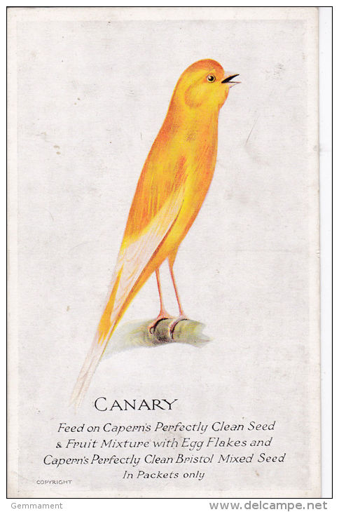 CAPERNS FOOD ADVERT - CANARY - Oiseaux