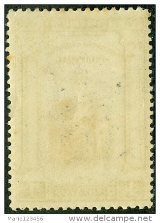 PORTOGALLO, PORTUGAL, RE ALFONSO I, 1926, FRANCOBOLLO NUOVO (MLH*), Scott 379, YT 385, Afi 363 - Ungebraucht