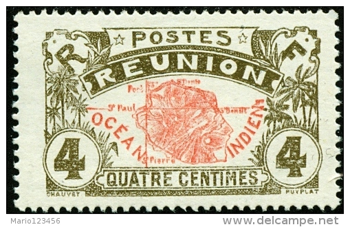 REUNION, COLONIA FRANCESE, FRENCH COLONY, MAPPA DELL'ISOLA, 1907, FRANCOBOLLO NUOVO (MNG), Scott 62, YT 58, Michel 58 - Neufs