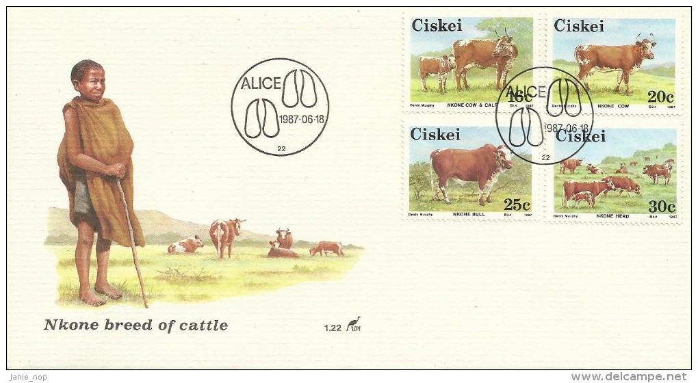 Ciskei 1987 Nkone Breed Of Cattle FDC - Ciskei