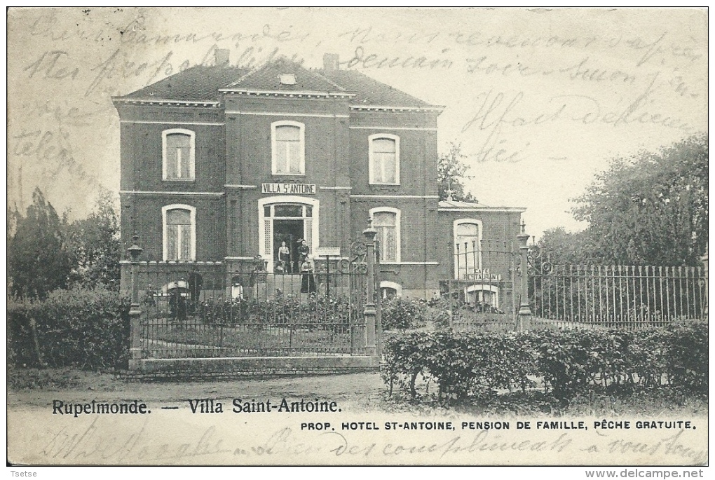 Rupelmonde - Villa Saint-Antoine - 1904  ( Verso Zien ) - Kruibeke