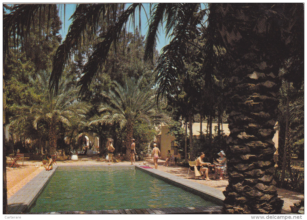 AFRIQUE,AFRICA,AFRIKA,ALGERIE,ALGERIA,MAGHREB,GHAR DAIA,TIFINAGH,piscine HOTEL TRANSATLANTIQUE,rare - Ghardaia