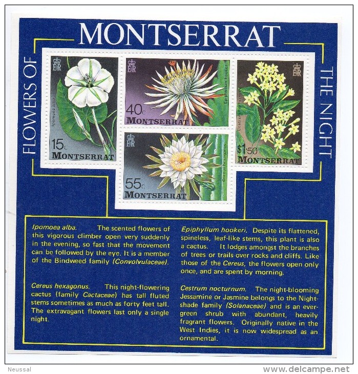 Hb-13 Montserrat - Montserrat