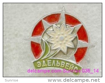 Animals: Flower Edelweiss - National Park - Mountains / Old Soviet Badge_035_an6619 - Animales