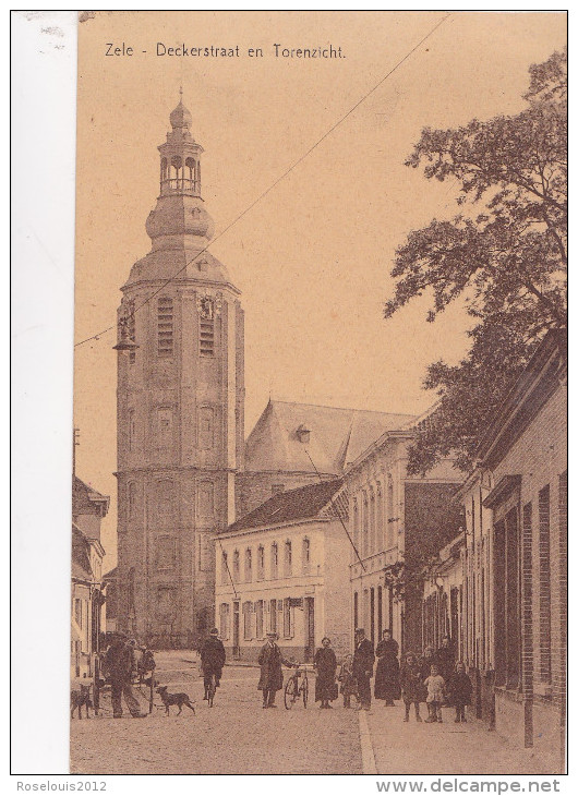 ZELE : Deckerstraat En Torenzicht - Zele