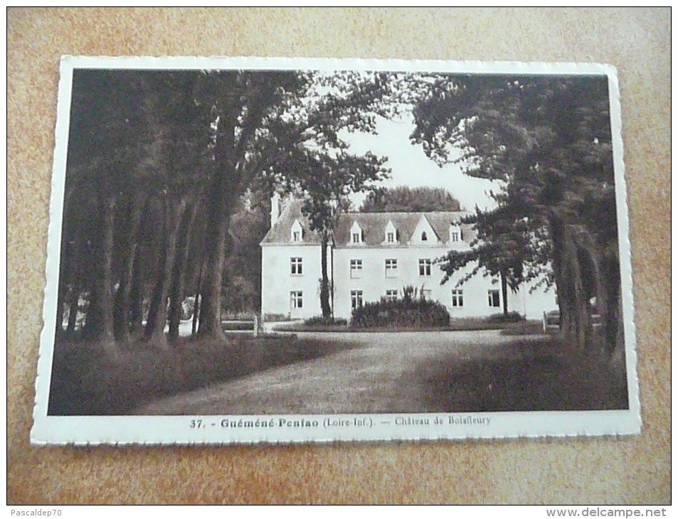 GUEMENE PENFAO - Château De Boisfleury - Guémené-Penfao