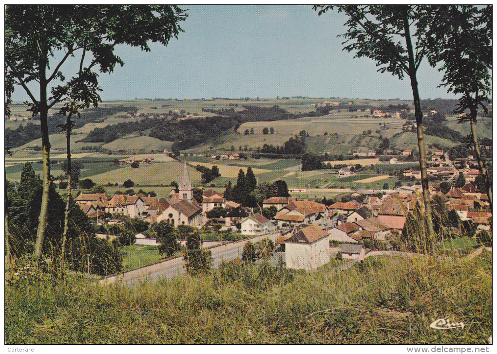 Virieu Sur Bourbre,isère,prés De Montagnieu,chassigneu,tour Du Pin,son Village,sa Gare,panissage, Tampon Au Dos ,chateau - La Côte-Saint-André