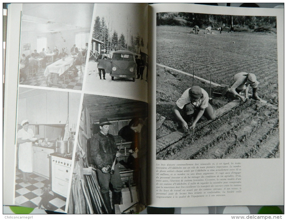 Superbe livre - Usine de Värmland et Storfors - Uddeholm - Charbonnière - Fonderie - Scierie - Aciérie Hagfors - 1956