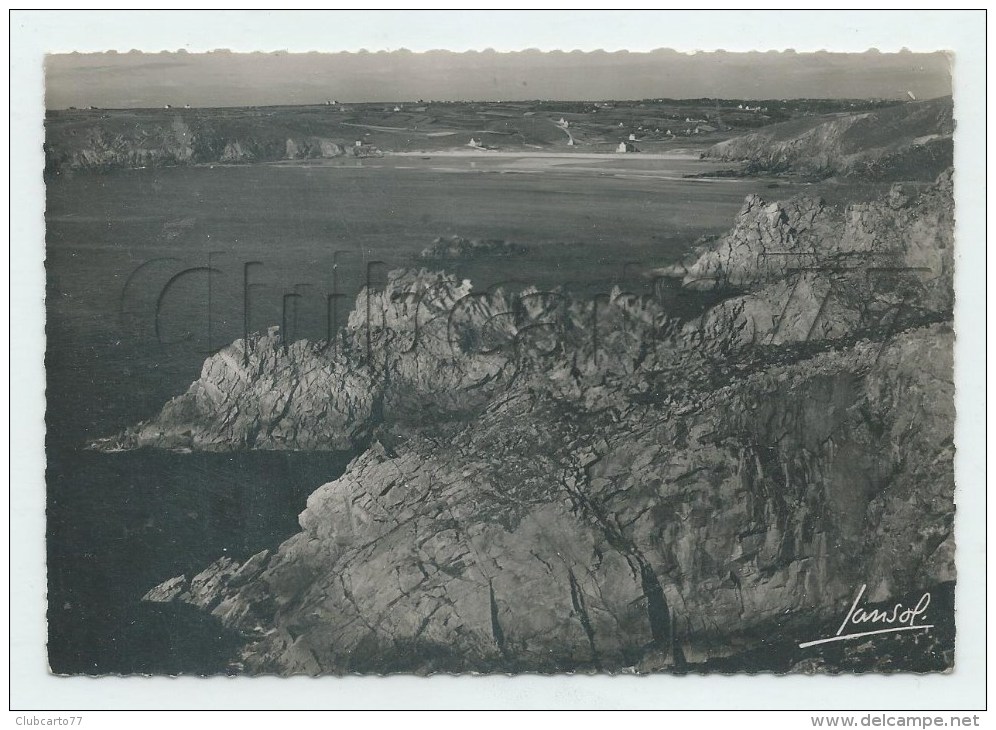 Plogoff (29) : Vue Sur La Baie Des Trépassés (Cap Sizun) En 1950 GF. - Plogoff