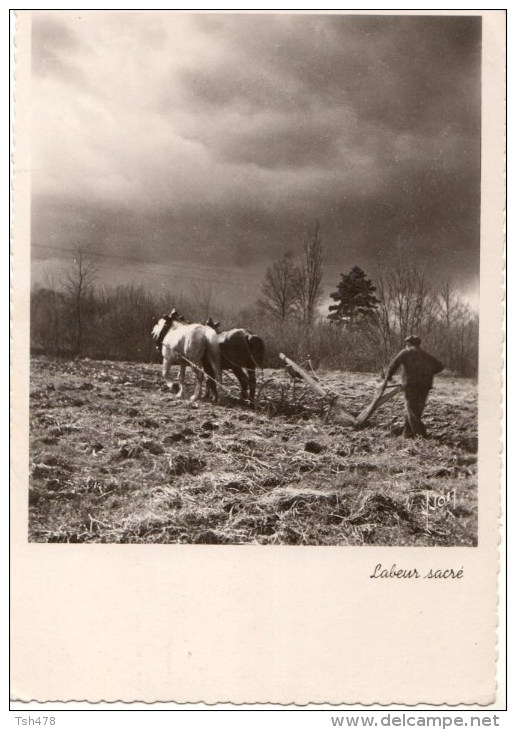 C P S M--C P M---AGRICULTURE----LABEUR SACRE----voir 2 Scans - Cultures